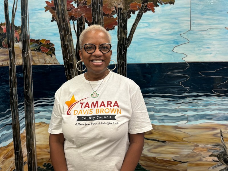 Tamara Davis Brown, a candidate for the At-Large seat, has previously run for State Senate and the District 9 seat for the Council. She posted a podcast on July 14 to explain her desire to run for the At Large seat.(Anthony Tilghman/The Washington Informer)