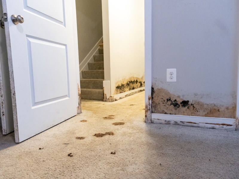 **FILE** Decay is seen on the walls of a home on Talbert Street in Southeast Washington, D.C., in May 2023. (Ja’Mon Jackson/The Washington Informer)