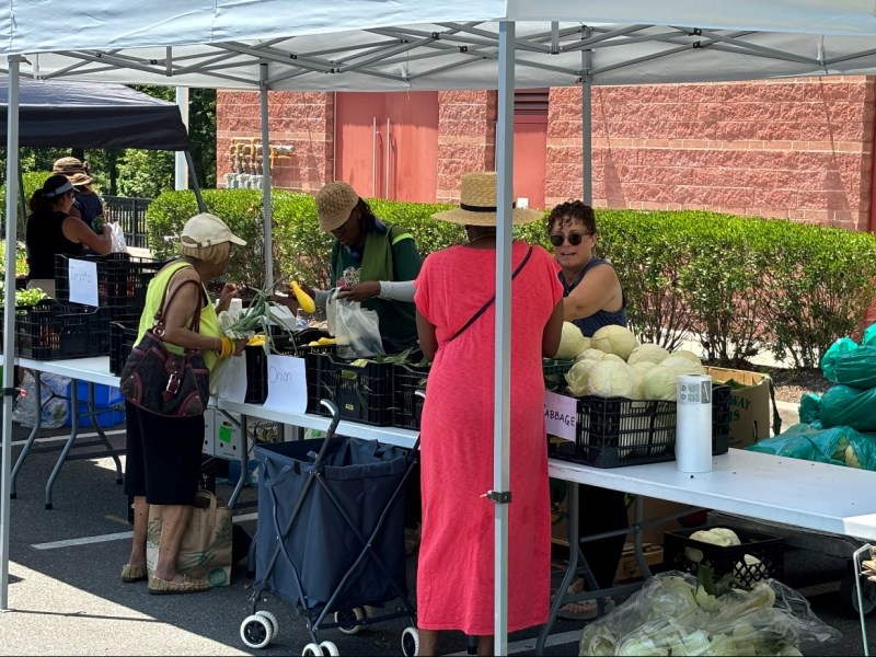 Locals come out to pick fresh produce at Food and Farm Fridays at the Thearc Building. (Courtesy of Building Bridges Across the River)